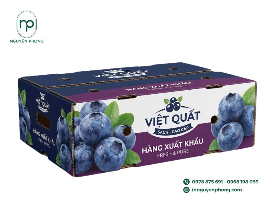 Thùng carton giúp bảo vệ việt quất